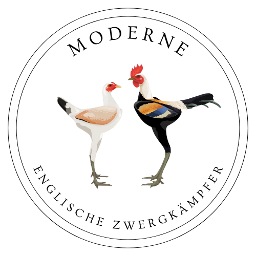 Moderne Englische Zwergkämpfer